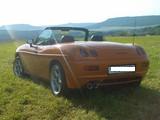 obraz079